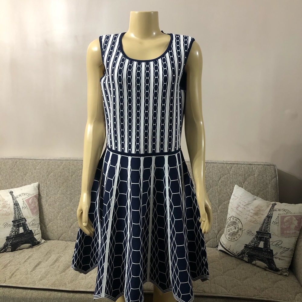 🌺🌺NWT Pink Tartan  A - line dress size L